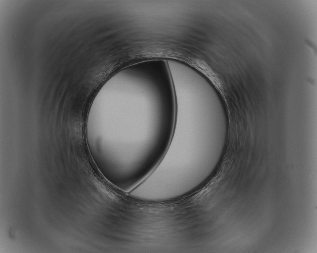 X0000091890441200709051047