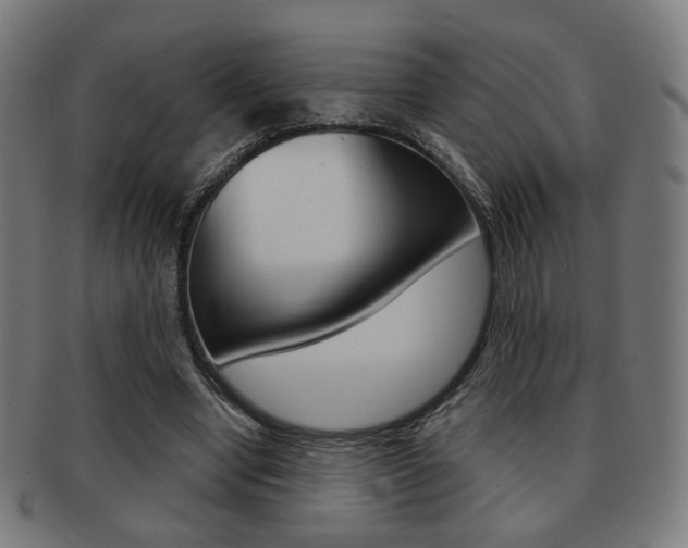 X0000091890442200709051047