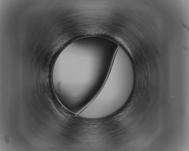 X0000091890443200709051047