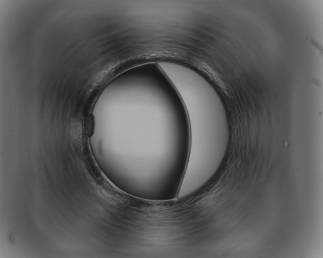 X0000091890444200709051047