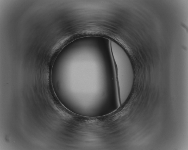 X0000091890446200709051047