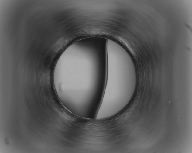 X0000091890447200709051047