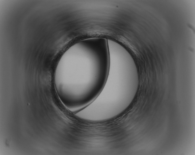 X0000091890448200709051047