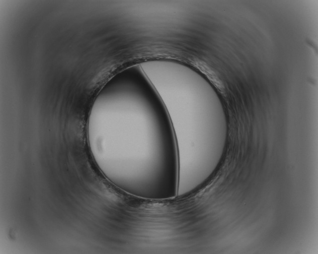 X0000091890449200709051047