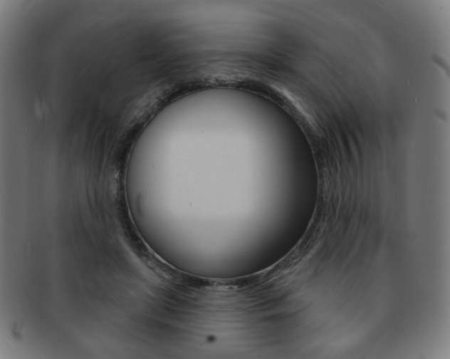 X0000091890451200709051047
