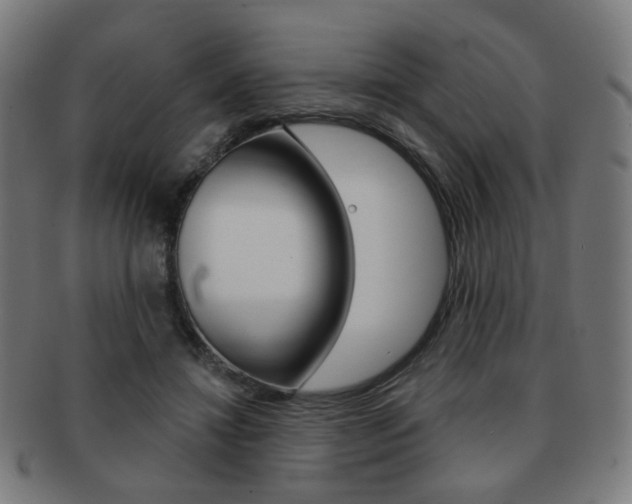 X0000091890452200709051047