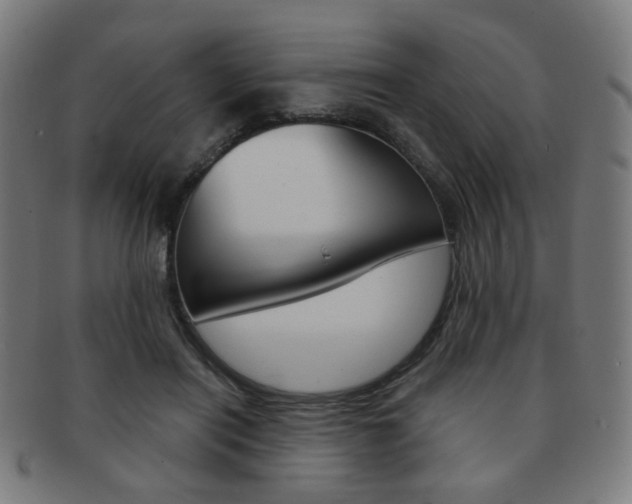 X0000091890454200709051047