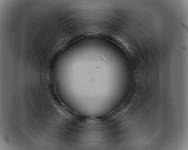 X0000091890455200709051047