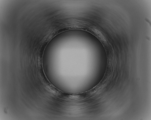 X0000091890457200709051047