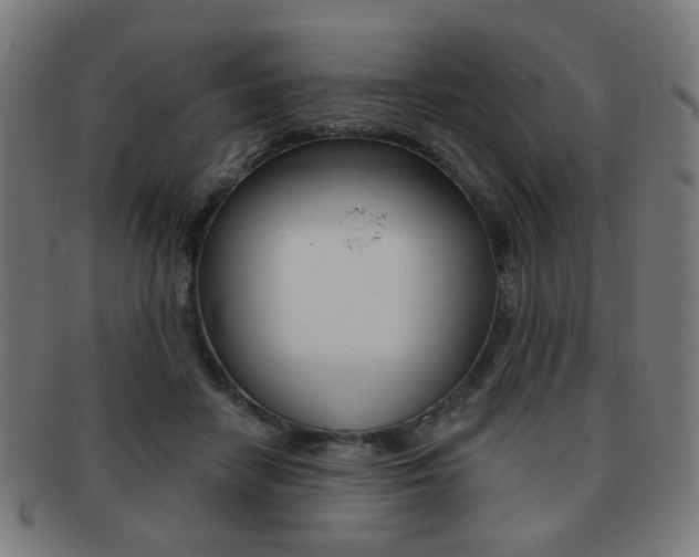 X0000091890458200709051047
