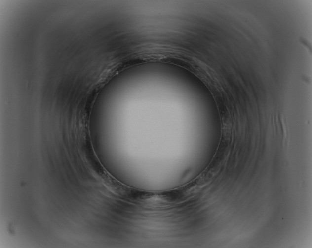 X0000091890460200709051047
