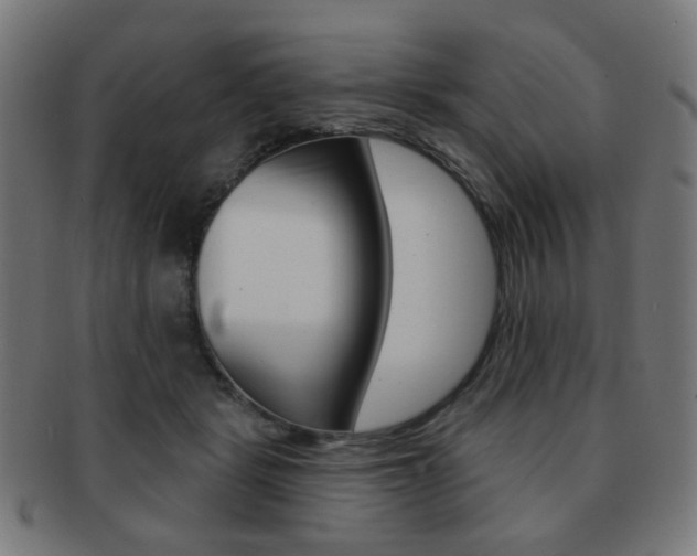 X0000091890461200709051048