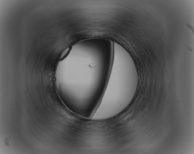 X0000091890462200709051048