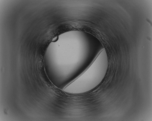 X0000091890464200709051048