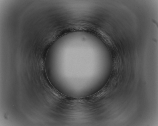 X0000091890465200709051048