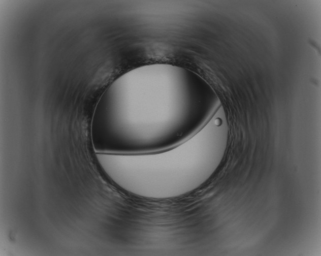 X0000091890466200709051048