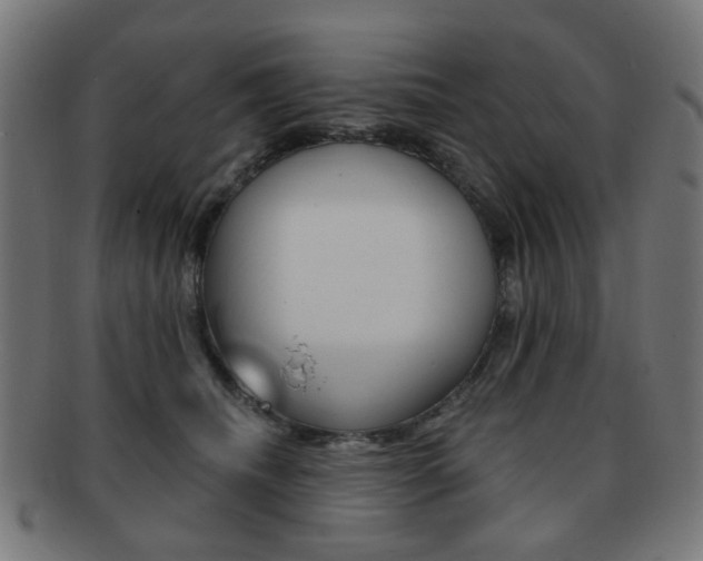 X0000091890468200709051048