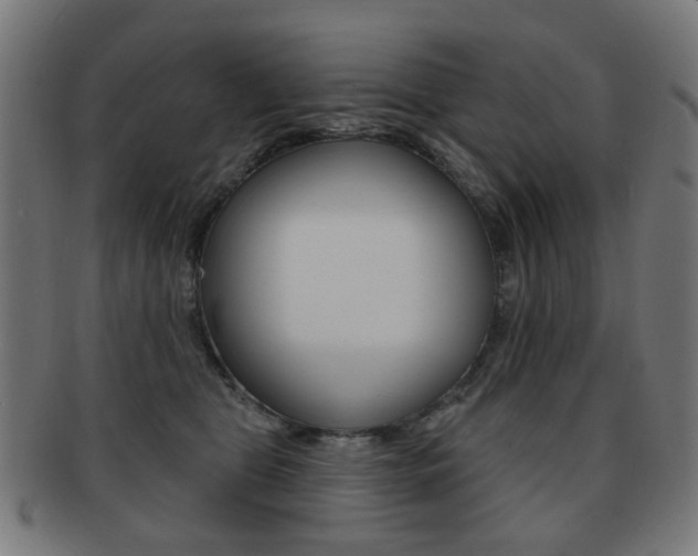 X0000091890469200709051048