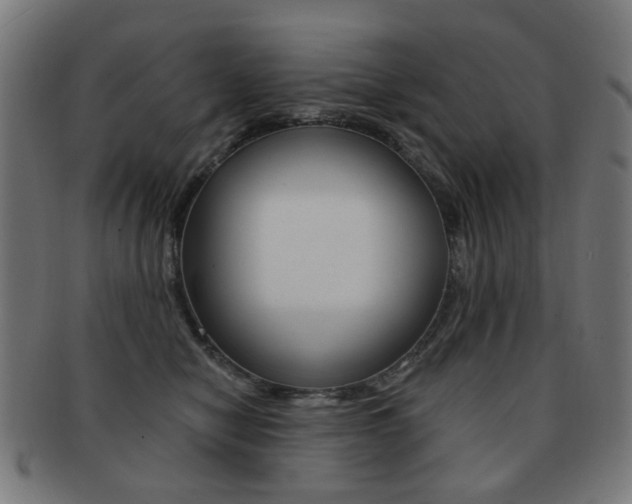 X0000091890470200709051048