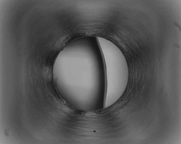 X0000091890471200709051048