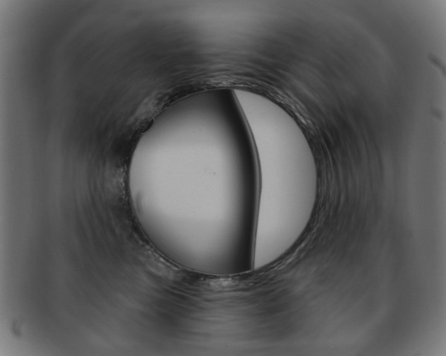 X0000091890473200709051048