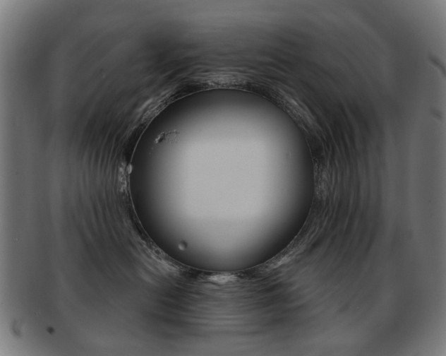 X0000091890478200709051048