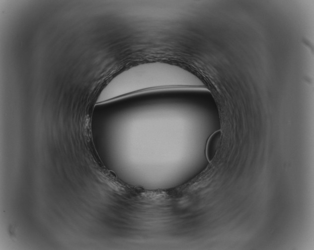 X0000091890480200709051048