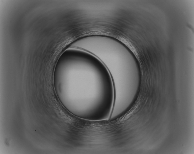 X0000091890481200709051047