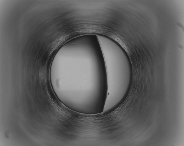 X0000091890482200709051047