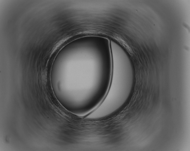 X0000091890484200709051047