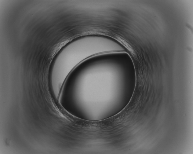 X0000091890485200709051047