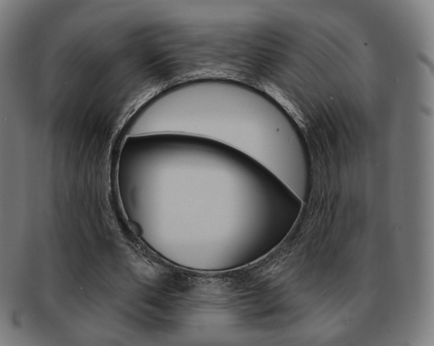 X0000091890486200709051047