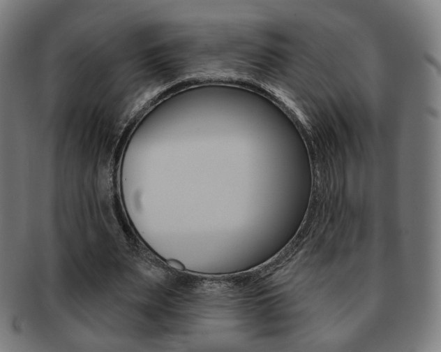X0000091890487200709051047