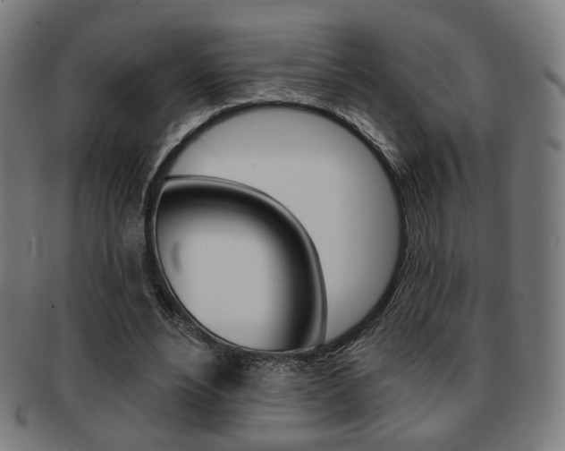 X0000091890488200709051047