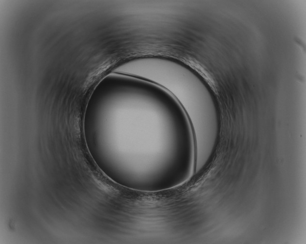 X0000091890489200709051047