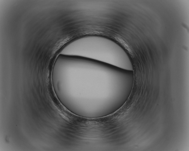 X0000091890490200709051047