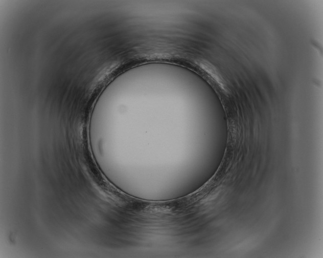 X0000091890491200709051047