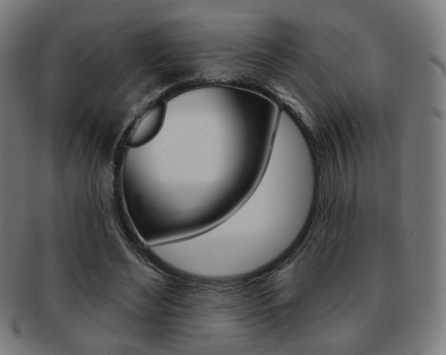 X0000091890492200709051047