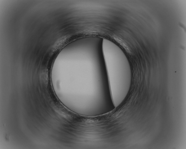 X0000091890494200709051047