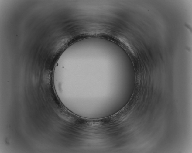 X0000091890495200709051047