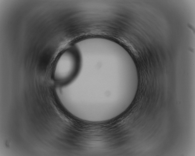 X0000091890496200709051047