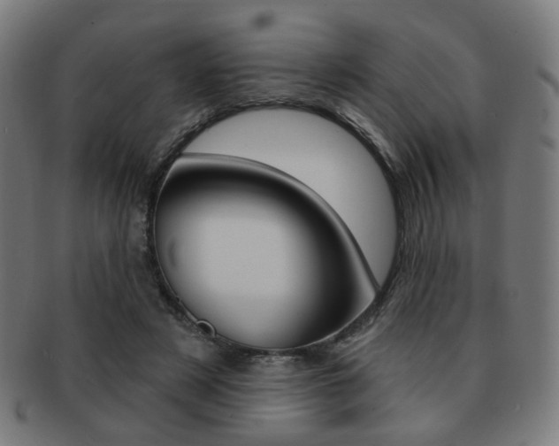 X0000091890497200709051047