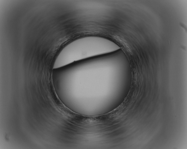 X0000091890498200709051047