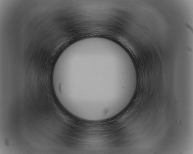 X0000091890501200709051047