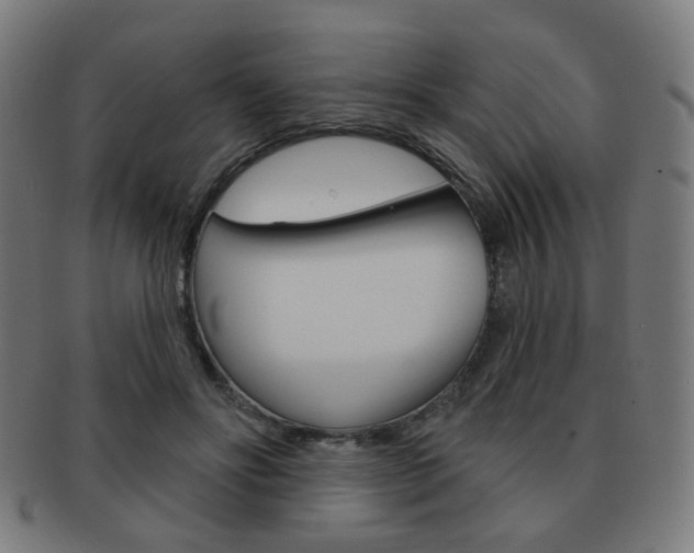 X0000091890502200709051047