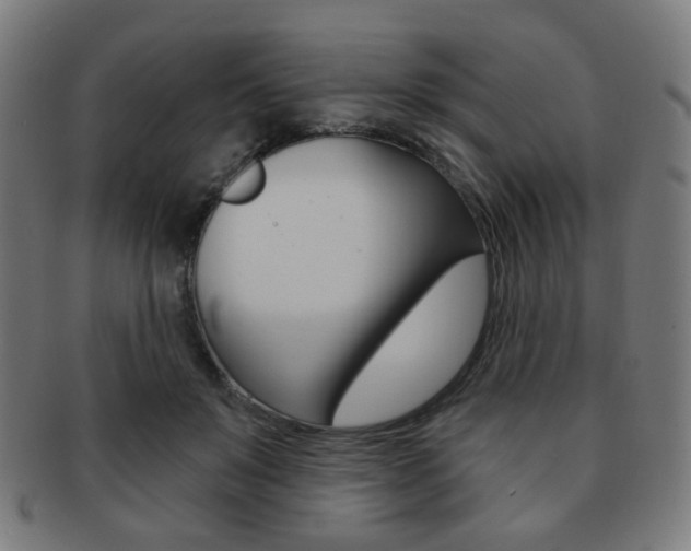 X0000091890503200709051047