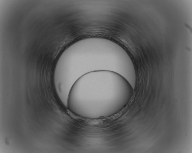 X0000091890504200709051047