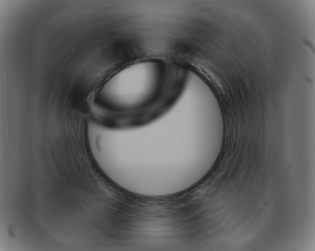 X0000091890505200709051047