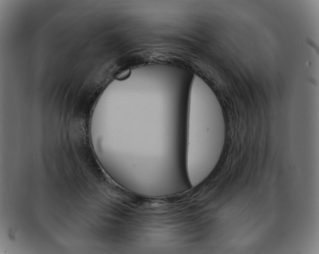 X0000091890506200709051047