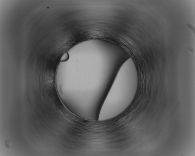 X0000091890507200709051047